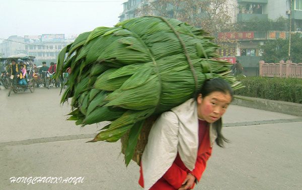点击图片新开窗口查看